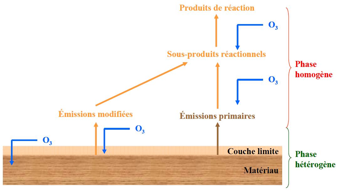 Interactions entre l’ozone et les matériaux dans les environnements intérieurs
