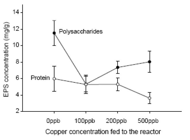Impact du cuivre sur la production d’EPS (Polysaccharides et protéines)